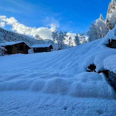 Chalet Birdie Льо Гран-Борнан Екстериор снимка