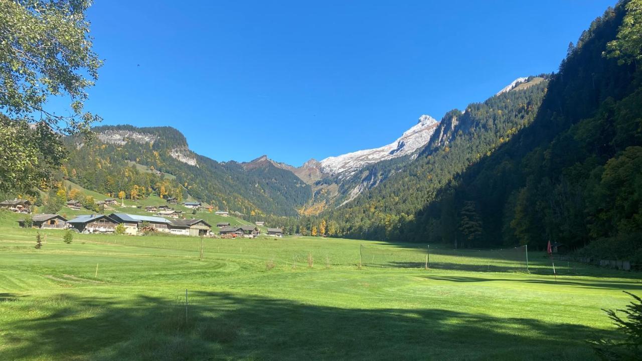 Chalet Birdie Льо Гран-Борнан Екстериор снимка