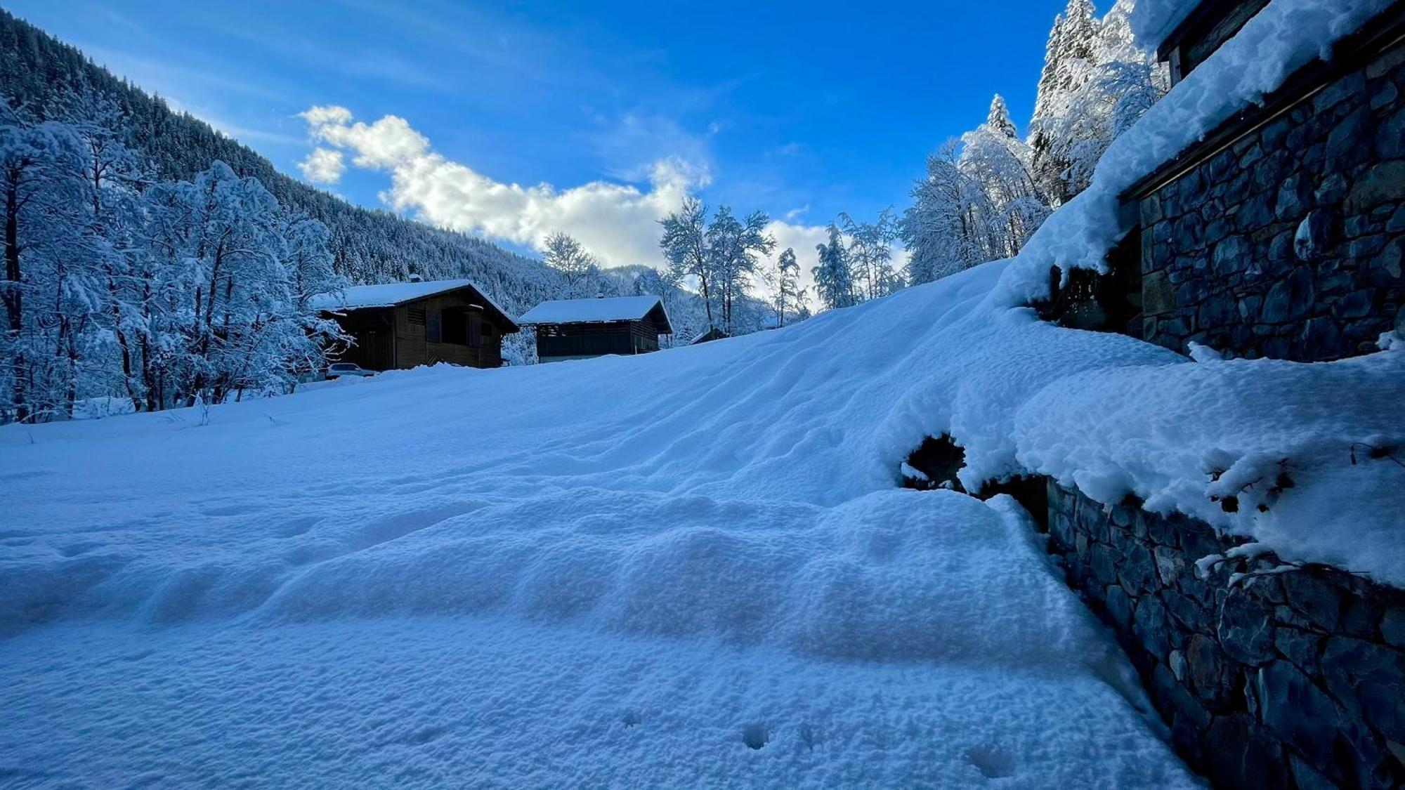 Chalet Birdie Льо Гран-Борнан Екстериор снимка
